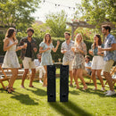 AIWA AW-TW901 120W Multimedia Tower Speakers with 2 Wireless Mic, 8"x2 Sub Woofers, 4"x2 Speakers, 2.25"x2 Tweeters, 5 Preset Equalizers, Remote Control, Multi-Connectivity (USB/AUX/FM/Mic/TWS), Black