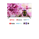 Aiwa 165 cm (65 Inches) QLED Display 4K Ultra HD | Google TV | Smart TV | Dolby Vision | Magnifiq Series Bezel-Less | 2 GB RAM | 16 GB Storage | Dolby Atmos Audio | Signature Sound | AG65QUHDX3-GTV